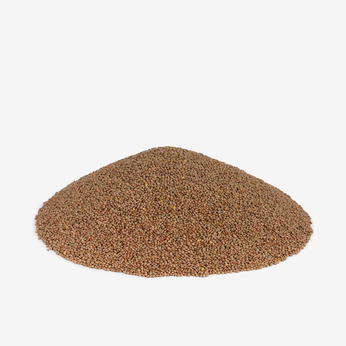 Grønne linser